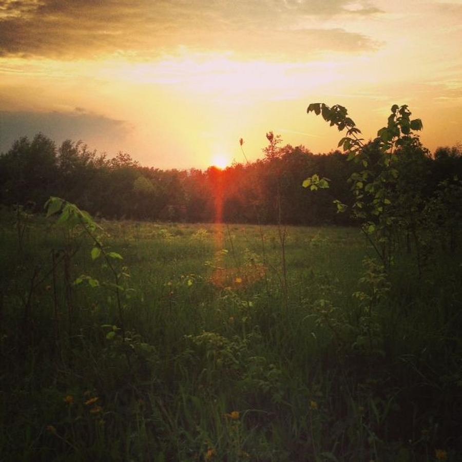 Sugar Ridge Retreat Centre Hotel มิดแลนด์ ภายนอก รูปภาพ